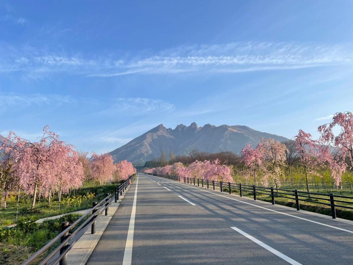 A Private Retreat Cotton Club Cottage 高森町 エクステリア 写真