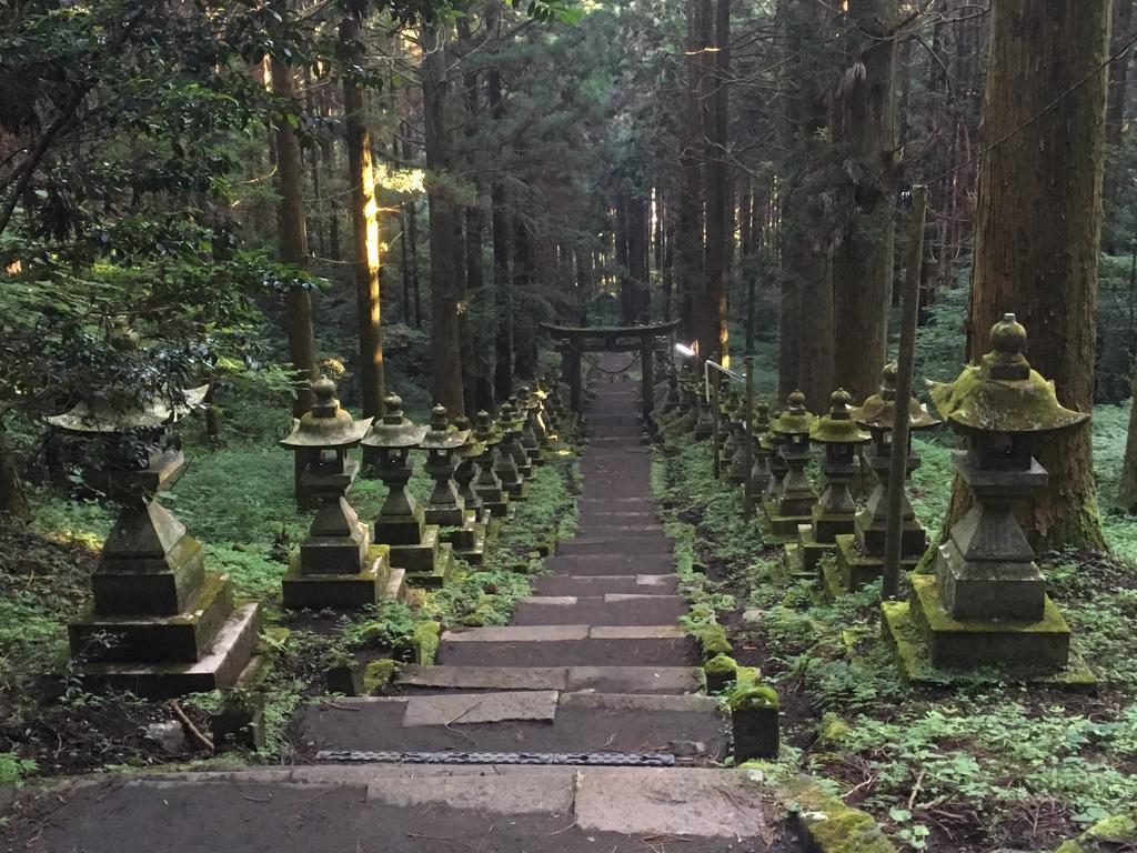 A Private Retreat Cotton Club Cottage 高森町 エクステリア 写真
